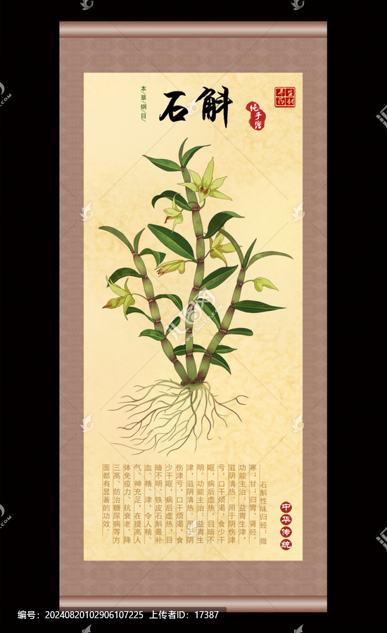 石斛插畫(huà)