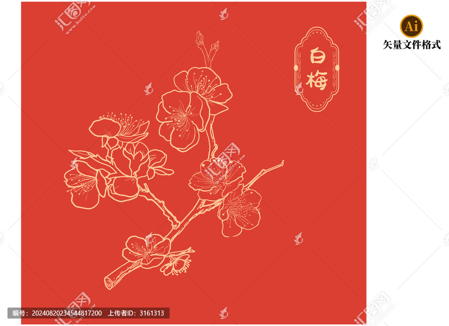 白梅花