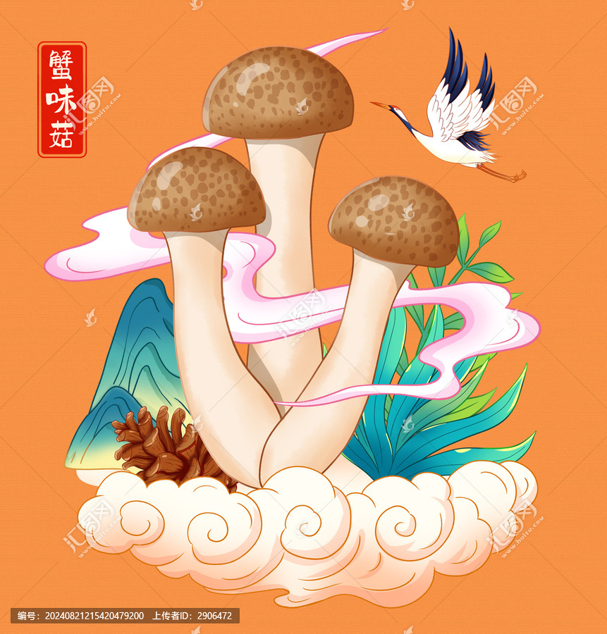 蟹味菇插畫手繪