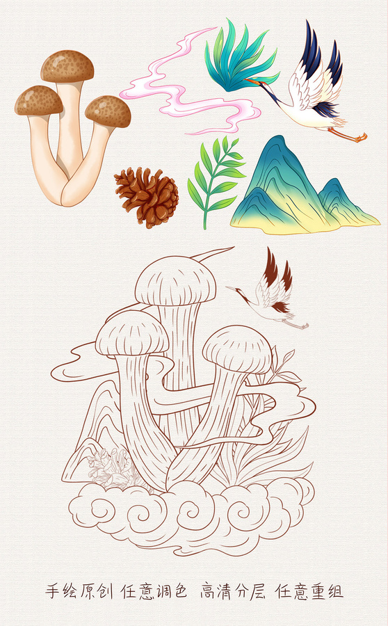 蟹味菇插畫手繪