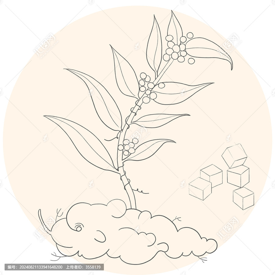茯苓線稿