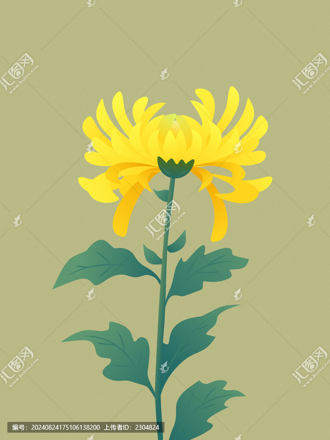 手繪菊花插畫(huà)
