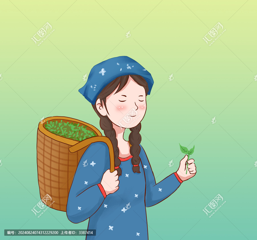 女孩背著茶葉