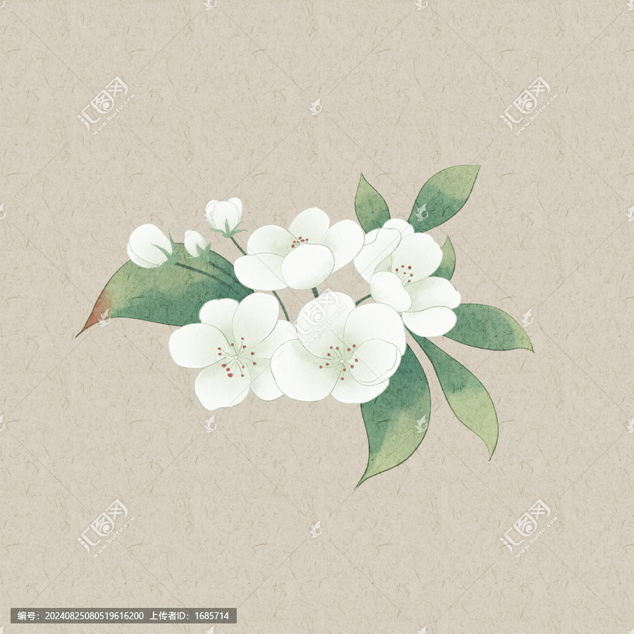 梨花團(tuán)扇