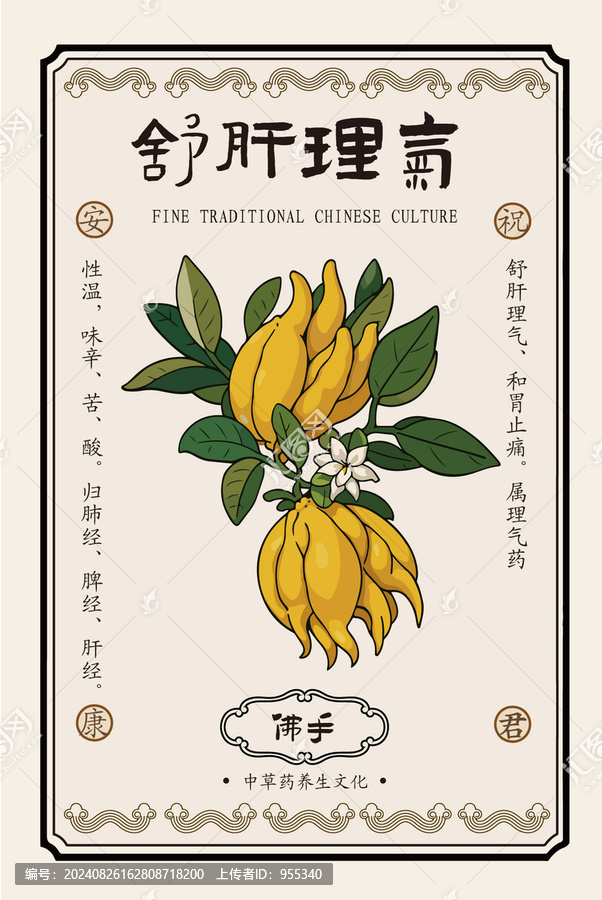 手繪佛手中醫(yī)藥文化