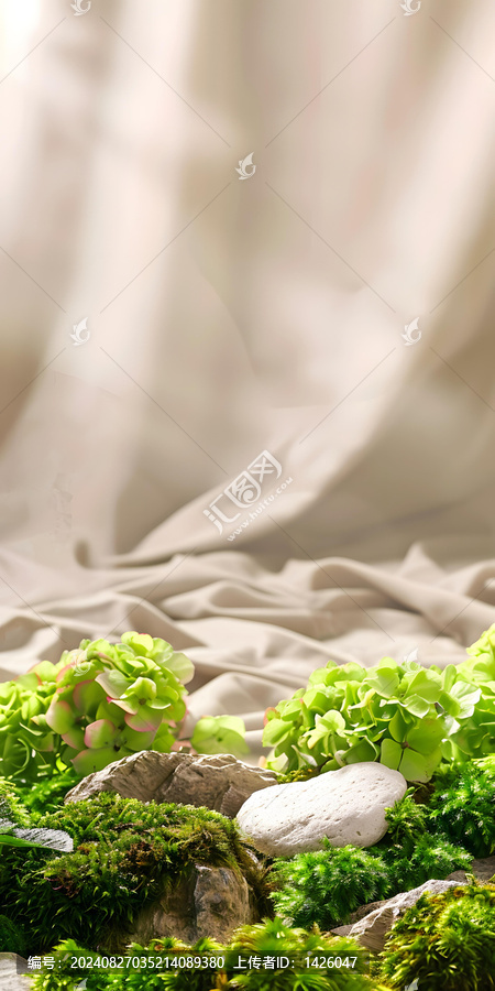 綠色苔蘚石頭和布料背景