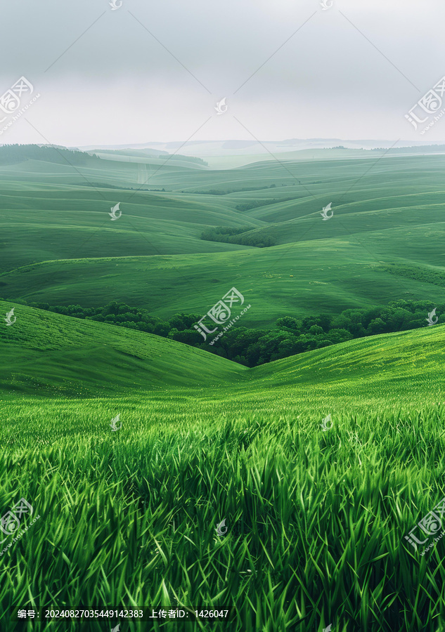連綿起伏的綠色山丘景觀山谷在中間