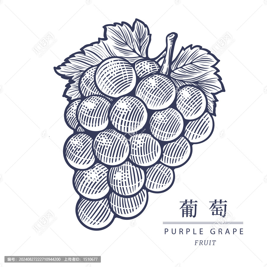 手繪版畫葡萄水果包裝插畫