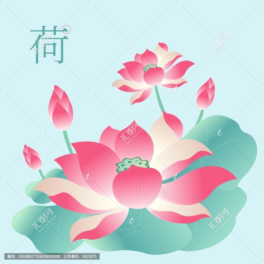 荷花插畫