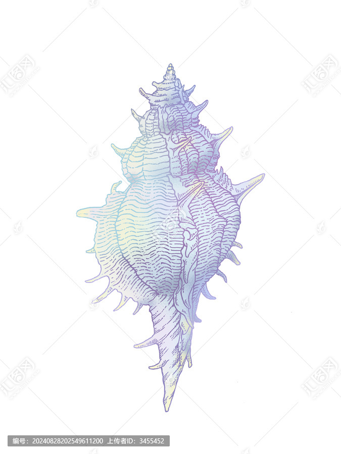 海螺