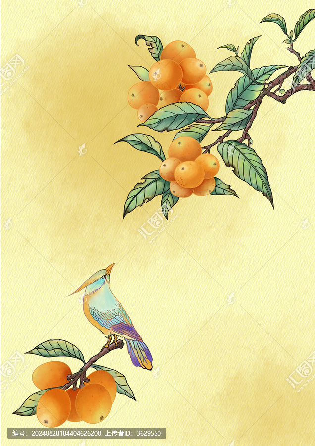 枇杷