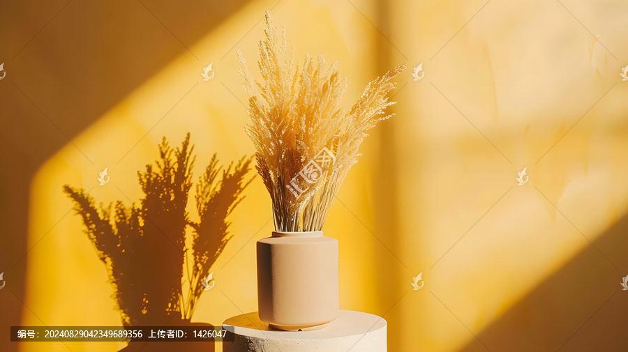 黃色背景下花瓶里的干花
