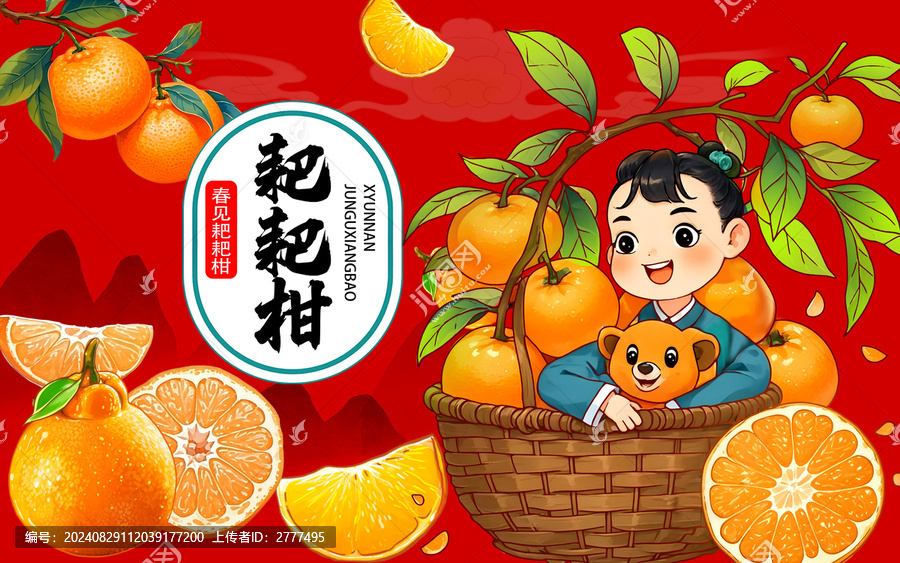 春見耙耙柑插畫