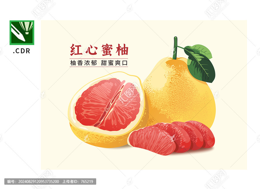 柚子插畫矢量素材