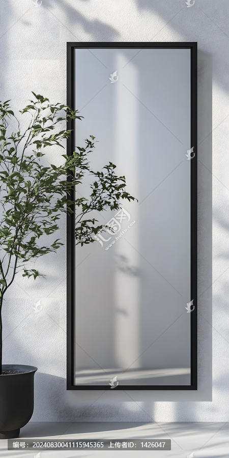 簡約風(fēng)格黑色框鏡面，植物影子