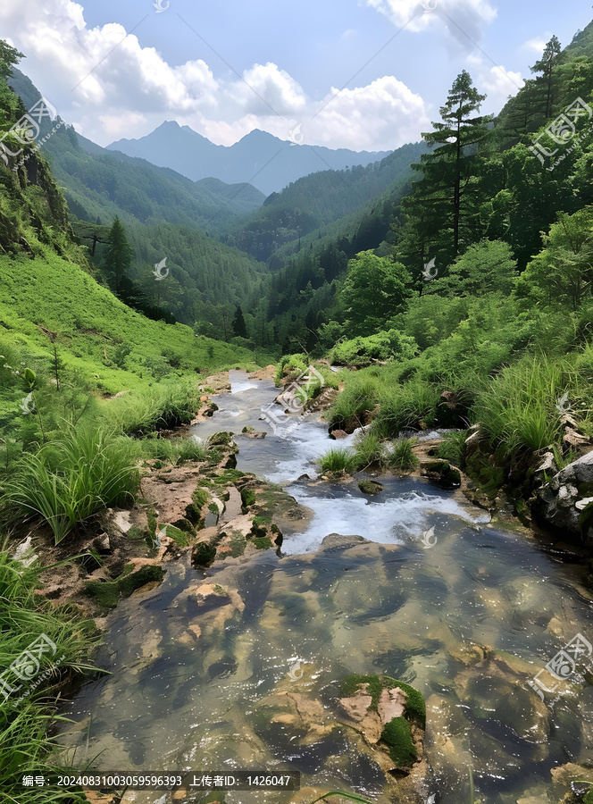 在山谷中流淌的河流，背景是綠色的山脈