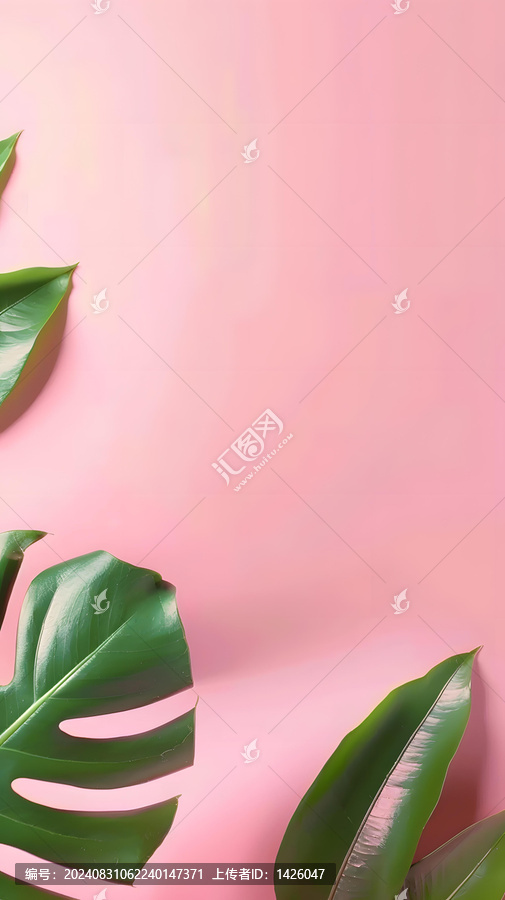 粉色背景上綠色的熱帶植物葉子