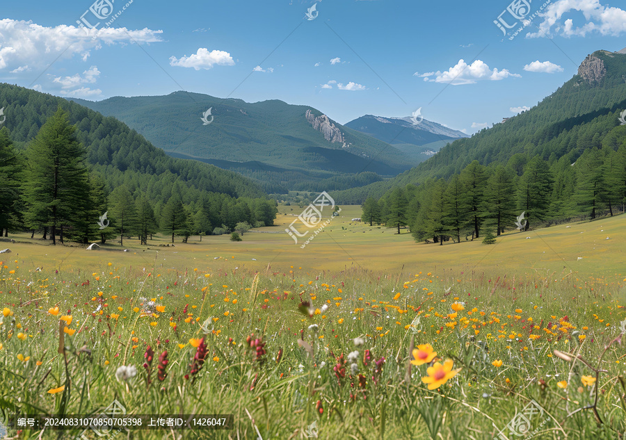 山間野花盛開(kāi)的草地