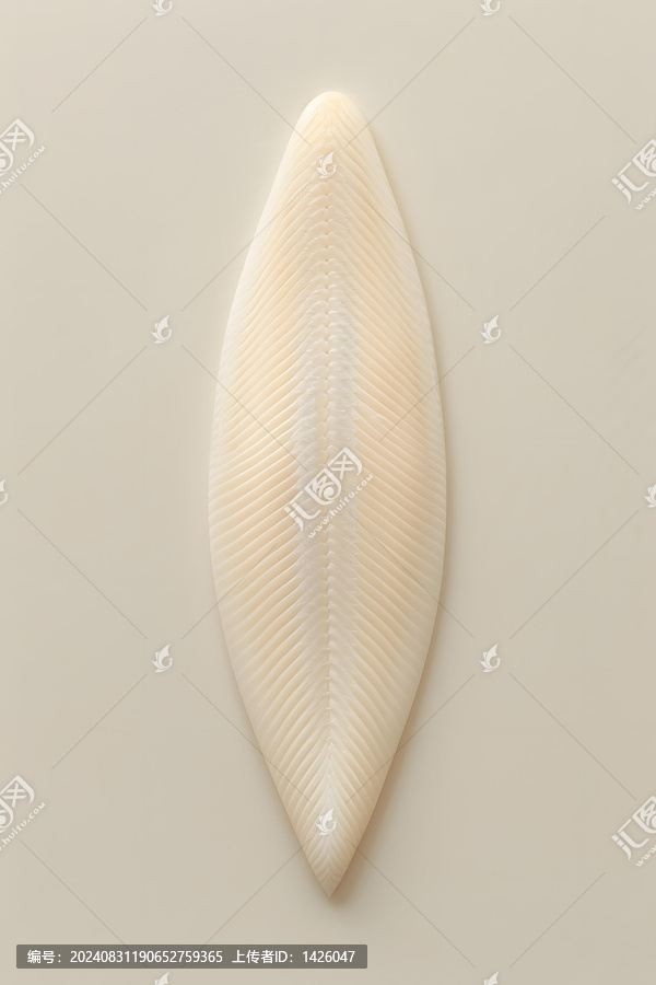 魚骨的肌理
