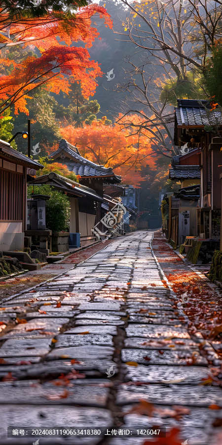 日本京都清水寺的石板路
