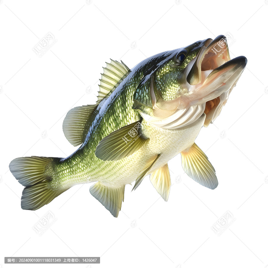 [免摳素材]大嘴鱸魚躍出水面