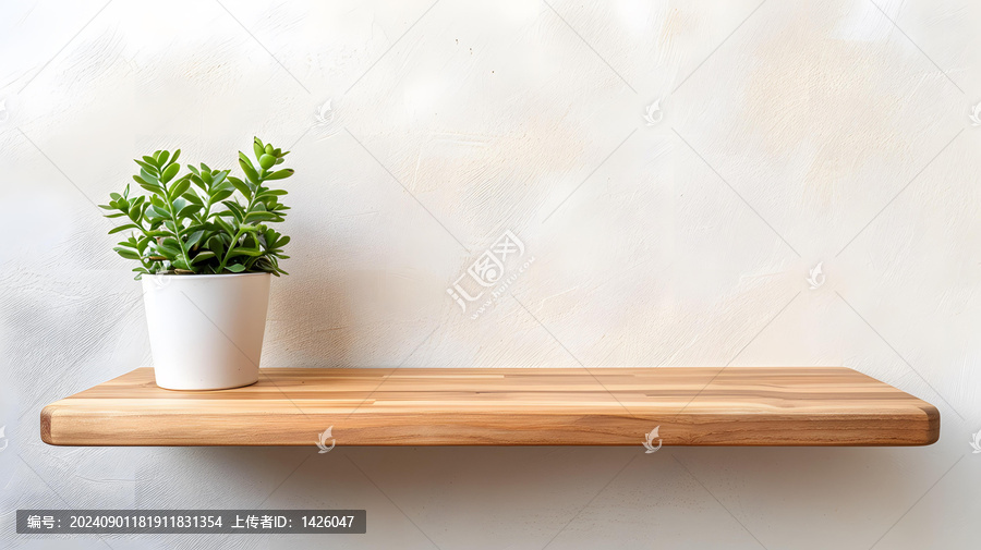 白色墻壁上的木質(zhì)層架和綠色植物