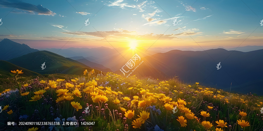 在山腳下盛開(kāi)的花田里，夕陽(yáng)灑在花朵上，花朵隨風(fēng)搖曳，微風(fēng)拂過(guò)草地，花香四溢，美不勝收