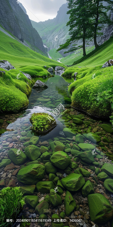 山澗溪流中的青苔石頭