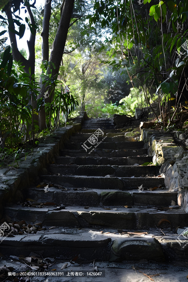森林里的石階小路