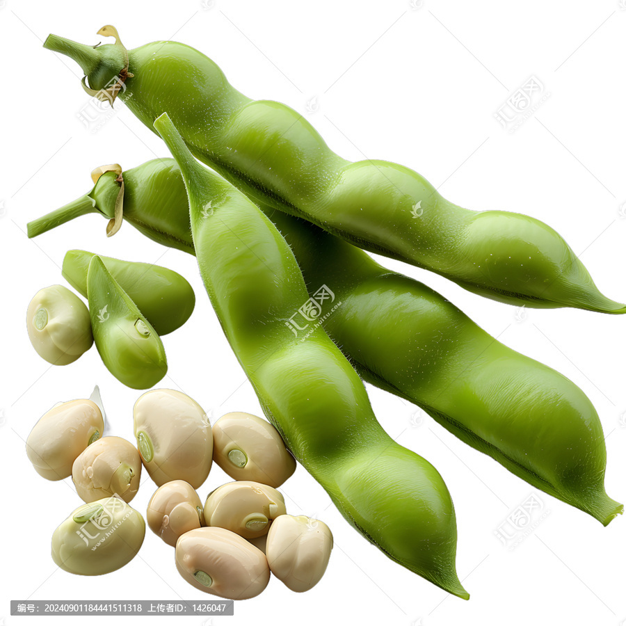 [免摳素材]新鮮豆