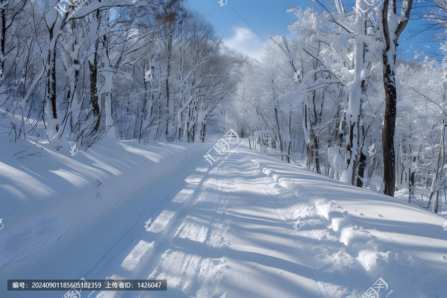 冬季雪覆蓋森林小路