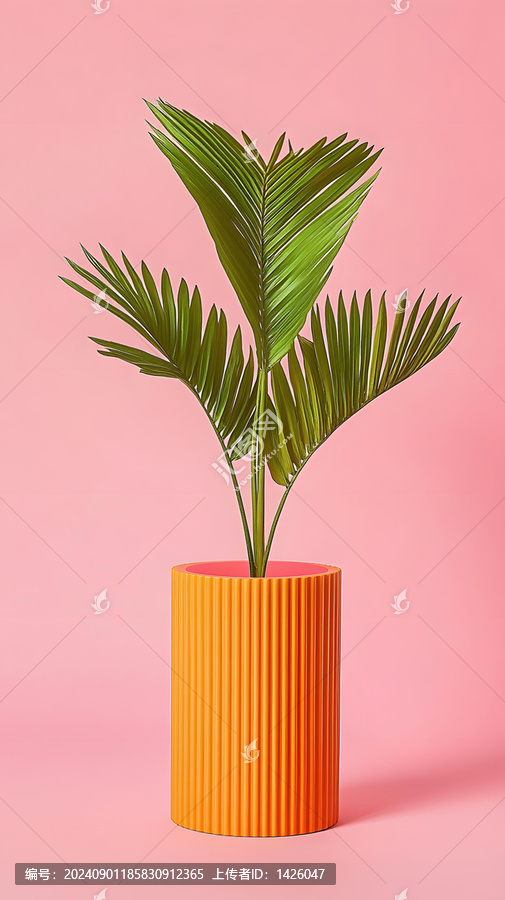 粉色背景下橙色花盆里的棕櫚植物