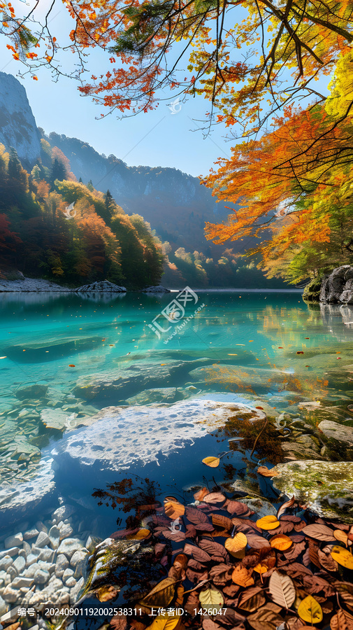 秋葉飄落清澈湖面山景