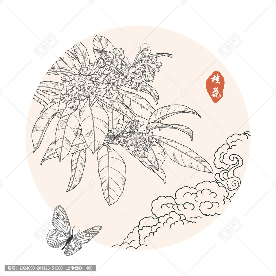 桂花線(xiàn)稿