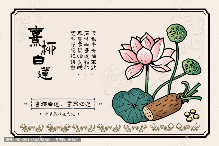 手繪采蓮蓮花蓮藕蓮子包裝標(biāo)簽