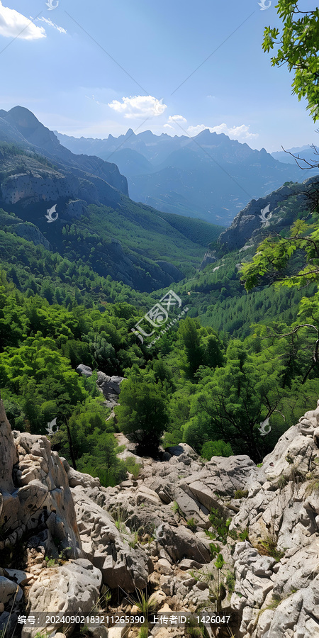巖石山脈間的翠綠山谷