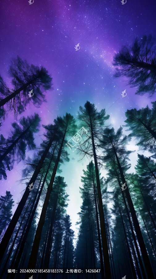 夜空下高聳的松樹