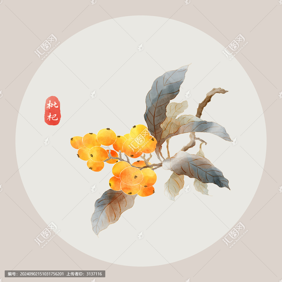 枇杷