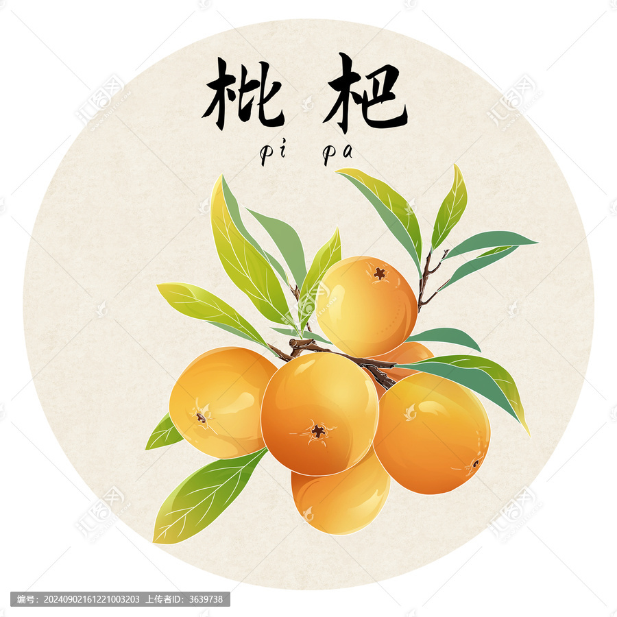 手繪水果枇杷