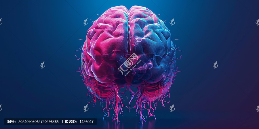 人腦3D解剖圖