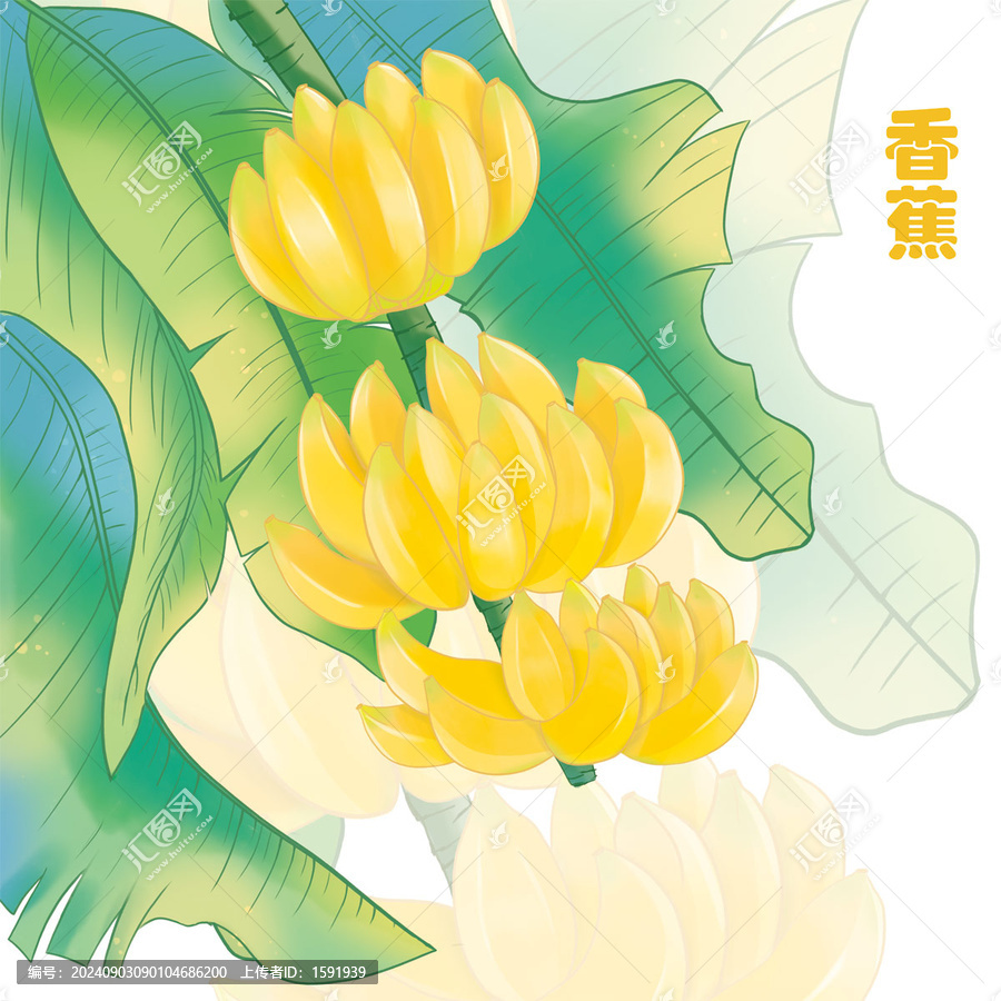 手繪香蕉包裝插畫
