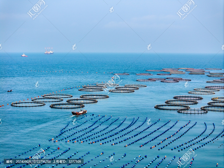 南麂島海上養(yǎng)殖風(fēng)光