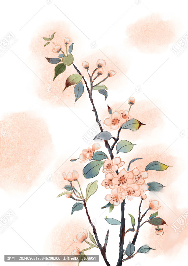 海棠花
