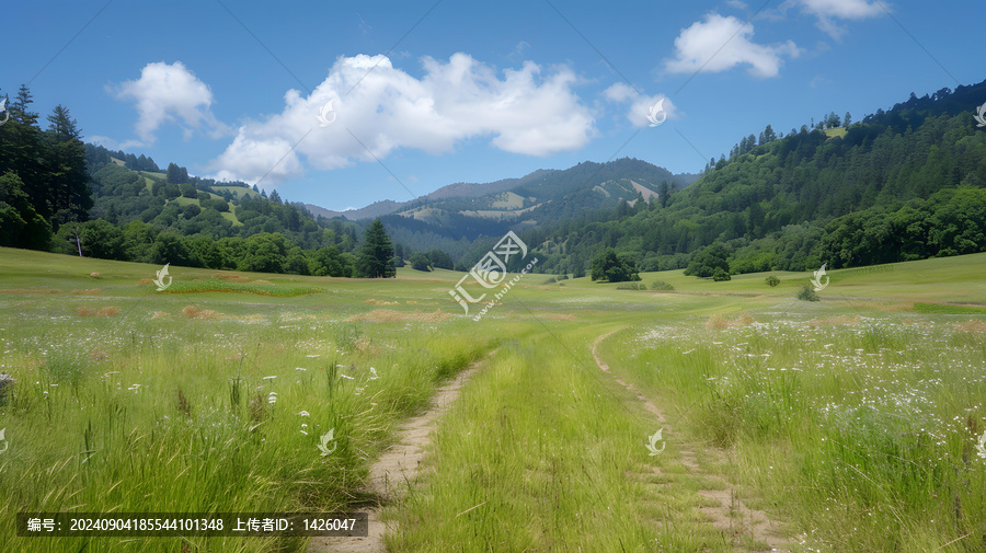 通往山丘的泥土路