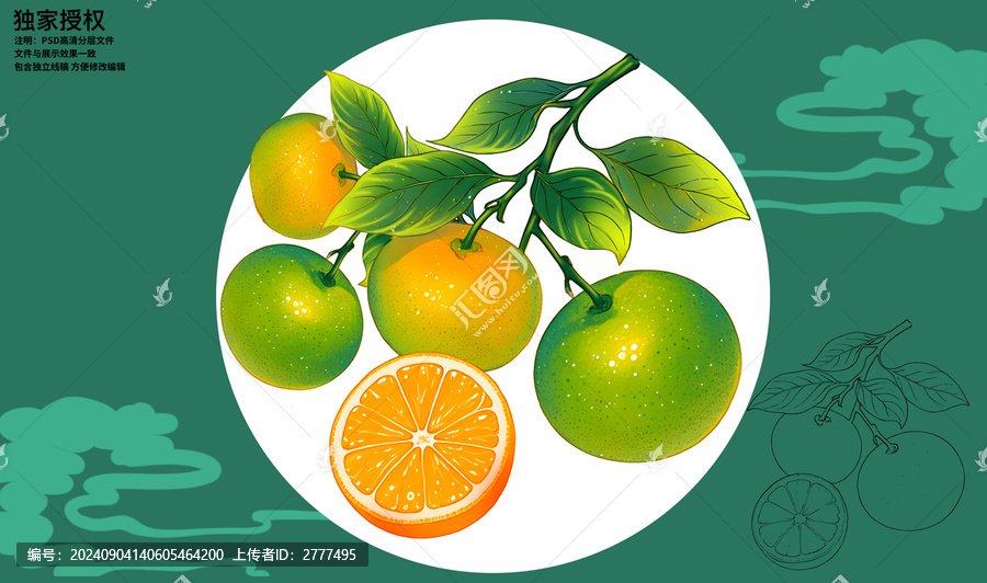 冰糖橙插畫