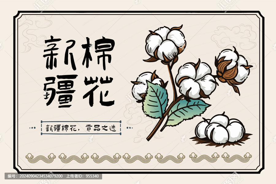 手繪新疆棉花包裝插畫