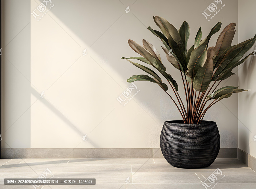 簡約室內設計，帶盆栽植物