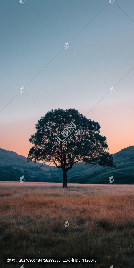 夕陽下一棵孤獨的樹
