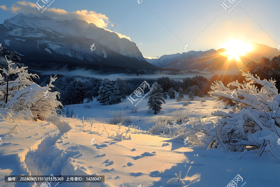 雪山日出下的森林景觀