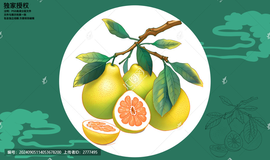 柚子插畫